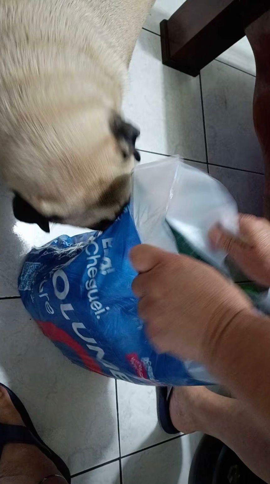 review